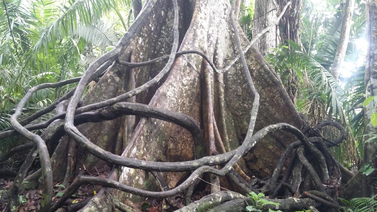 Casa Sandoval Villa Puerto Maldonado Eksteriør billede